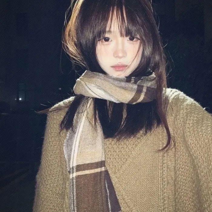 天狼星行动